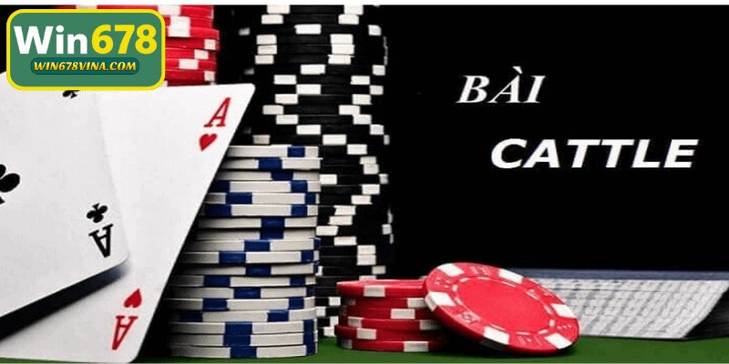 Cách chơi game bài catte là tựa game khá quen thuộc và phổ biến