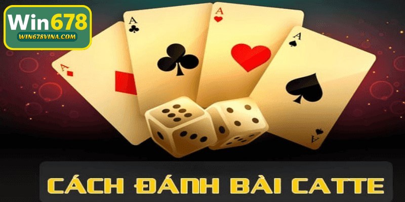 Cách chơi game bài catte chuẩn chỉ nhất