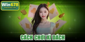 Cách Chơi Xì Dách