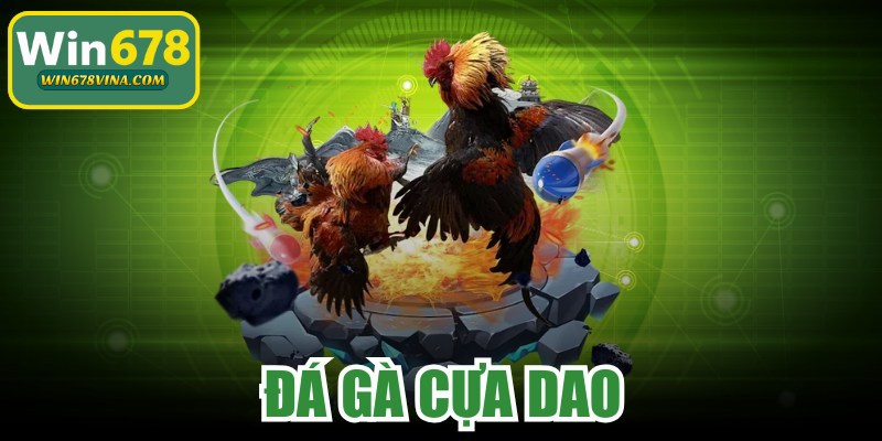 Đá Gà Cựa Dao