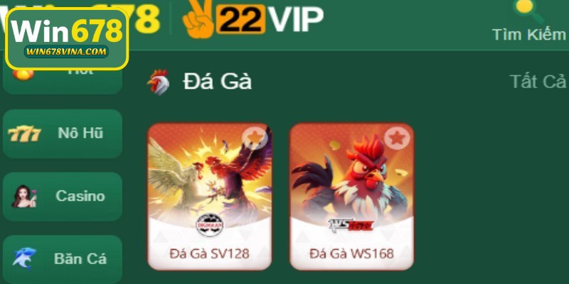 Đá gà WIN678 ngày càng trở nên phổ biến bởi những ưu điểm vượt trội